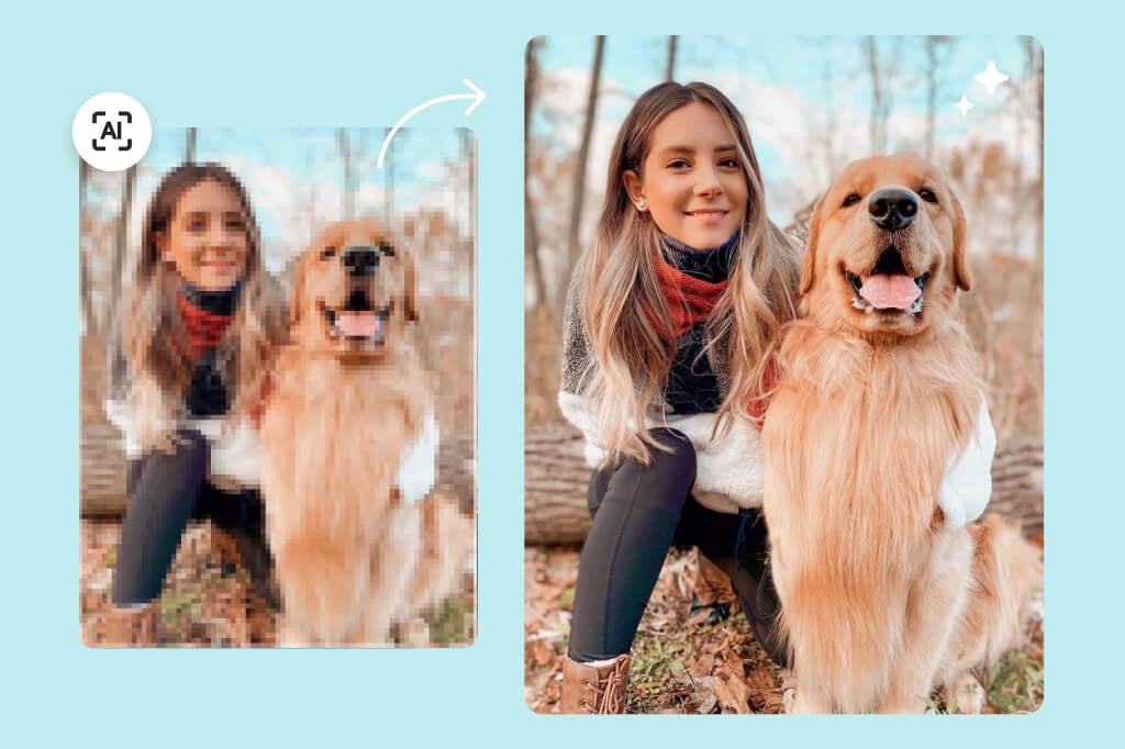 Enhance Animal Pictures