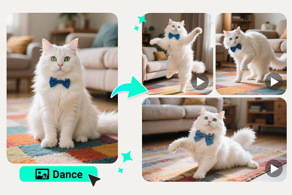 Make Your Pet Dance – Create a Hilarious Furry Dance Video Make Your Pet Dance – Create a Hilarious Furry Dance Video