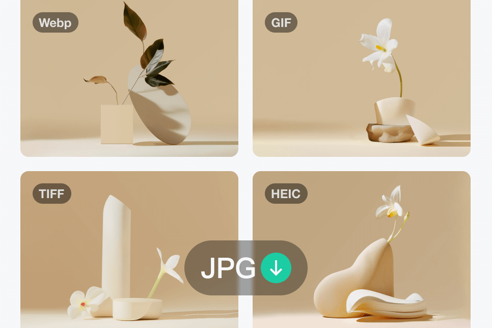 Convert PNG, HEIC, SVG, GIF & More to JPG Convert PNG, HEIC, SVG, GIF & More to JPG