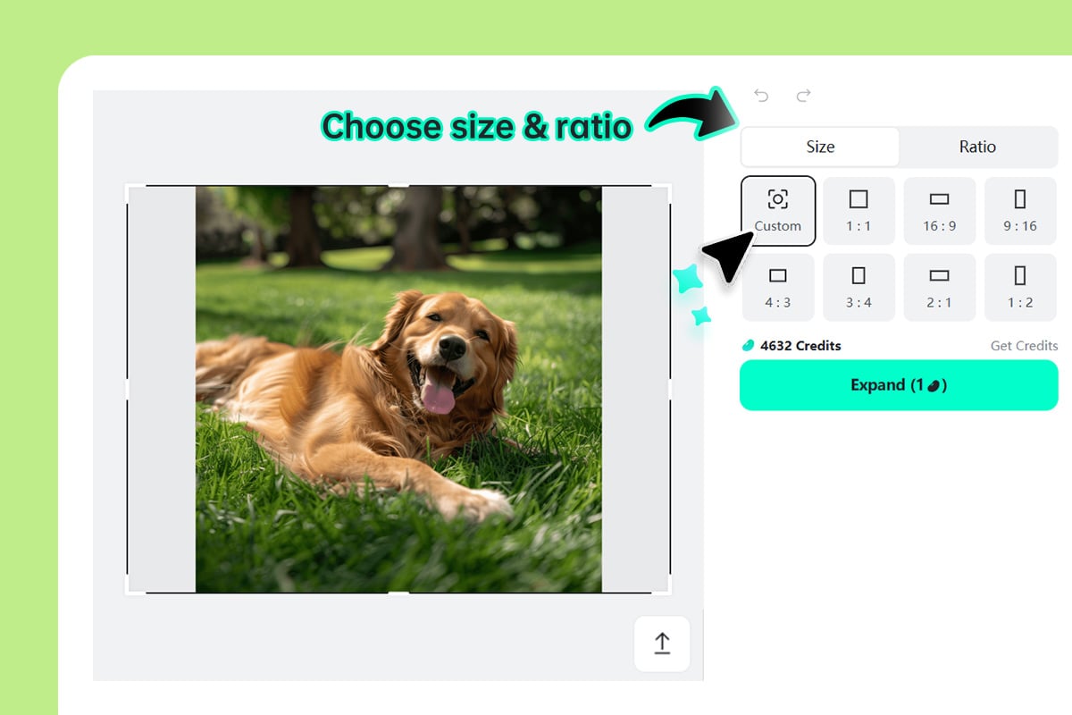 Choose the new size or ratio