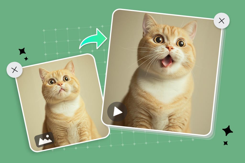 Make Your Pet Picture Move with Adorable Animation