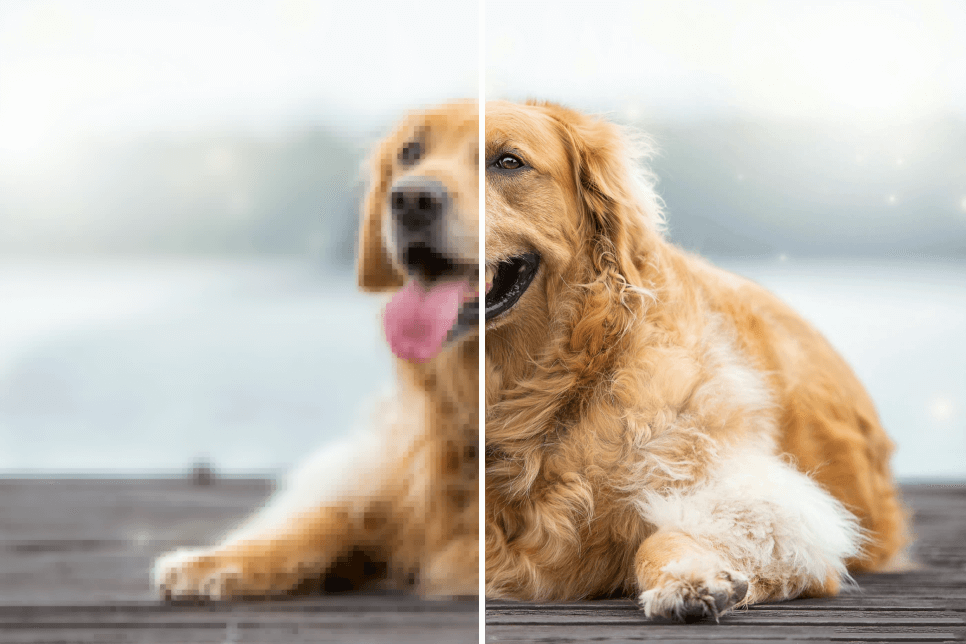 AI Image Upscaler AI Image Upscaler
