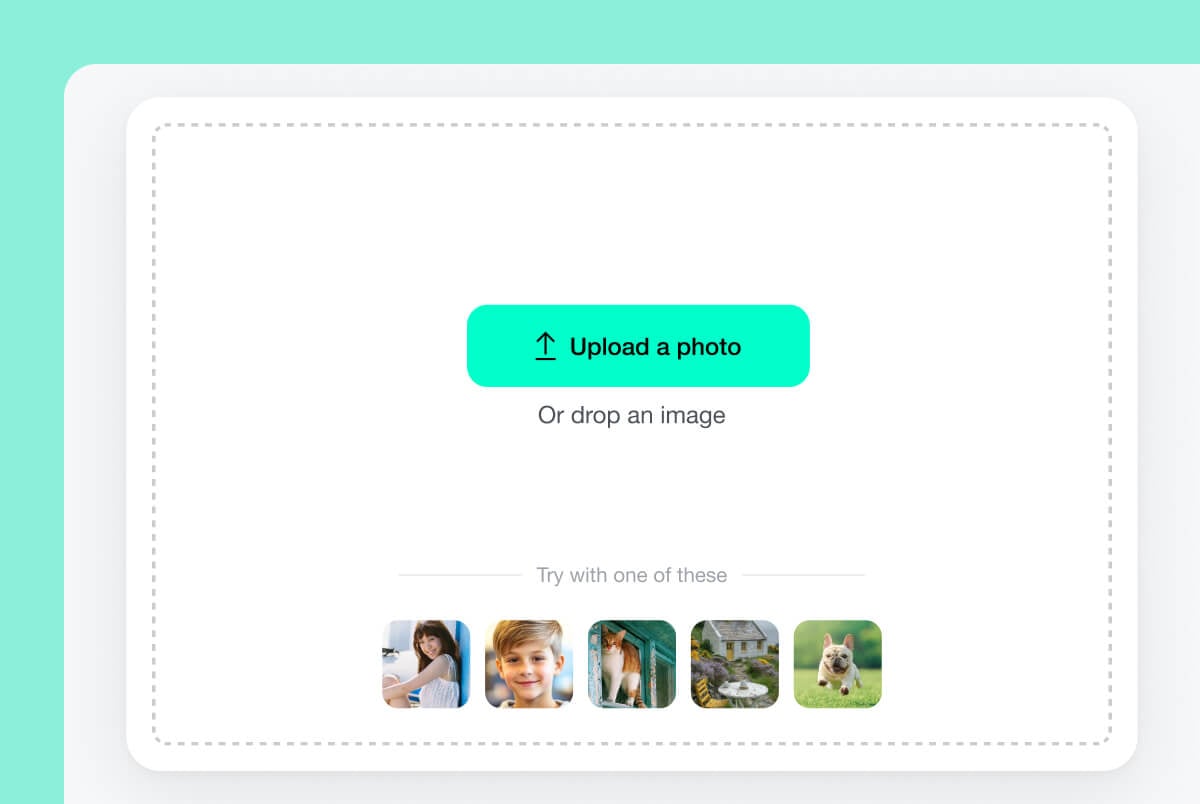 Upload your photo Upload your photo