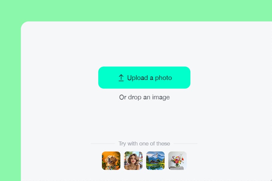 Upload your photo Upload your photo