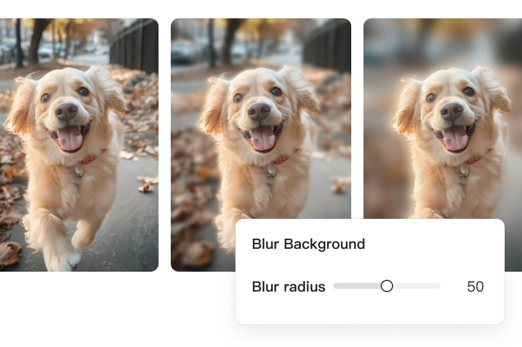 Easily Adjust Blur Radius to Control Intensity Easily Adjust Blur Radius to Control Intensity