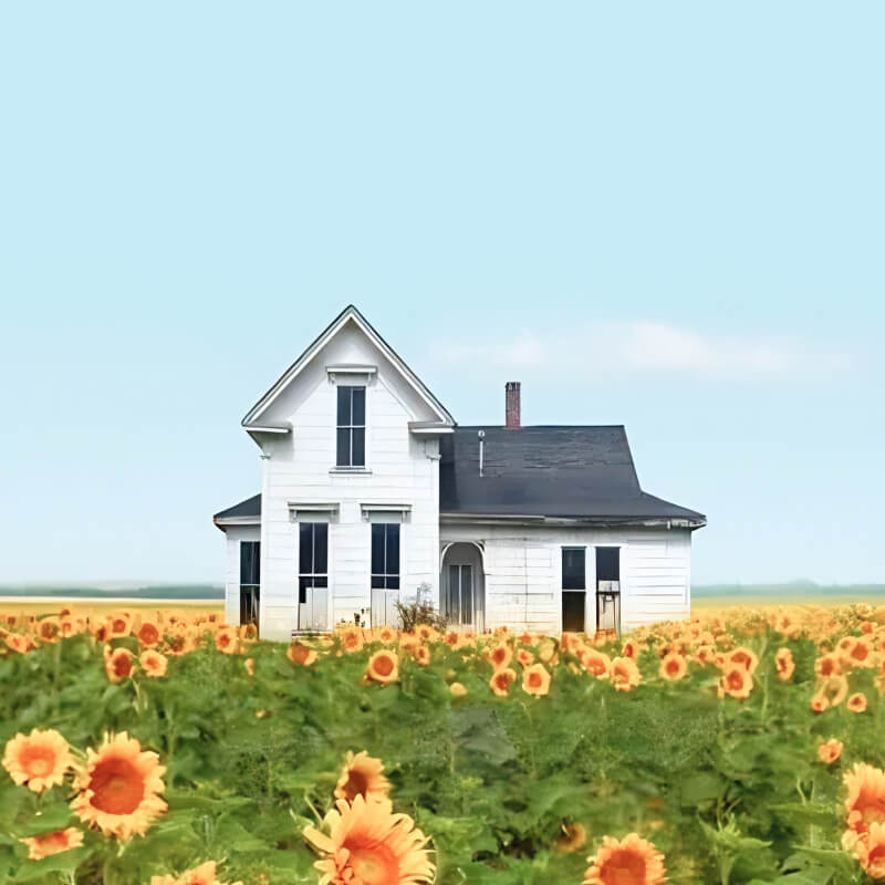 Studio Ghibli Filter 2