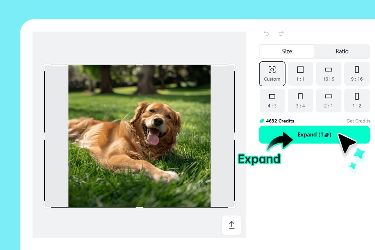Generate the expanded image
