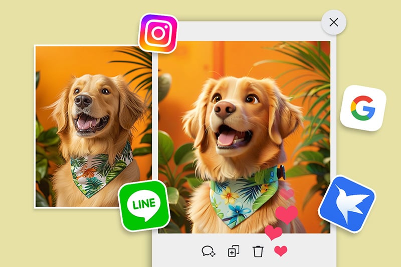 Social&nbsp;Media