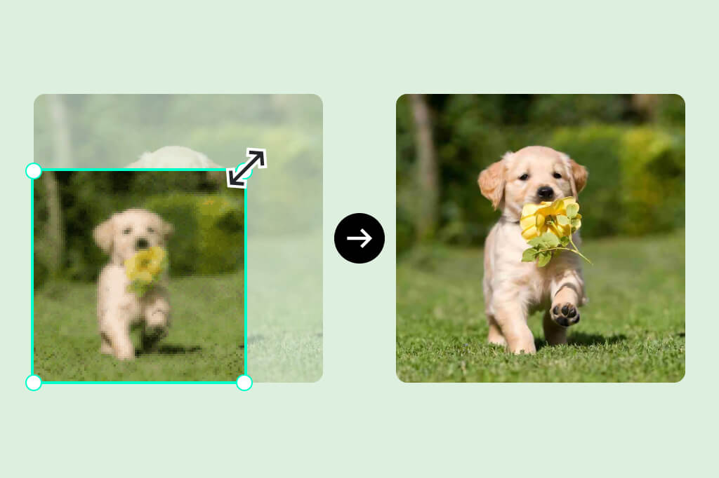 Increase Image Size while Preserving the Quality Increase Image Size while Preserving the Quality