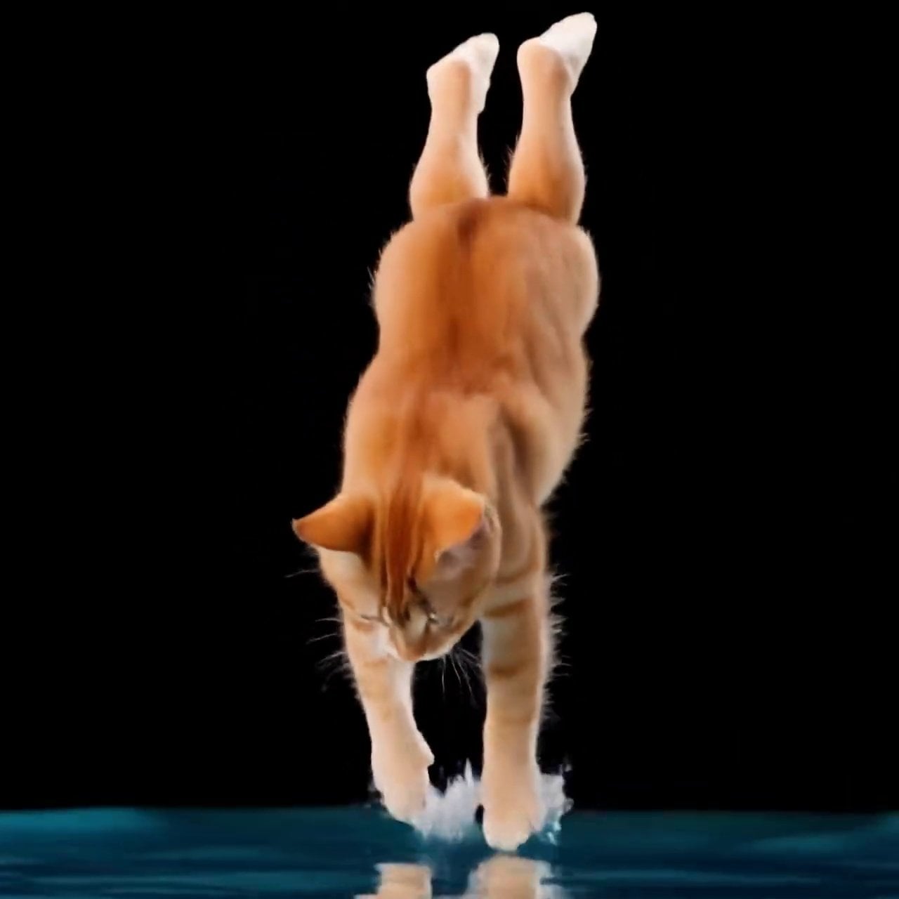 Mega Dive