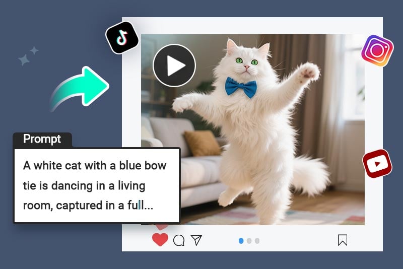 Social Media Videos Social Media Videos